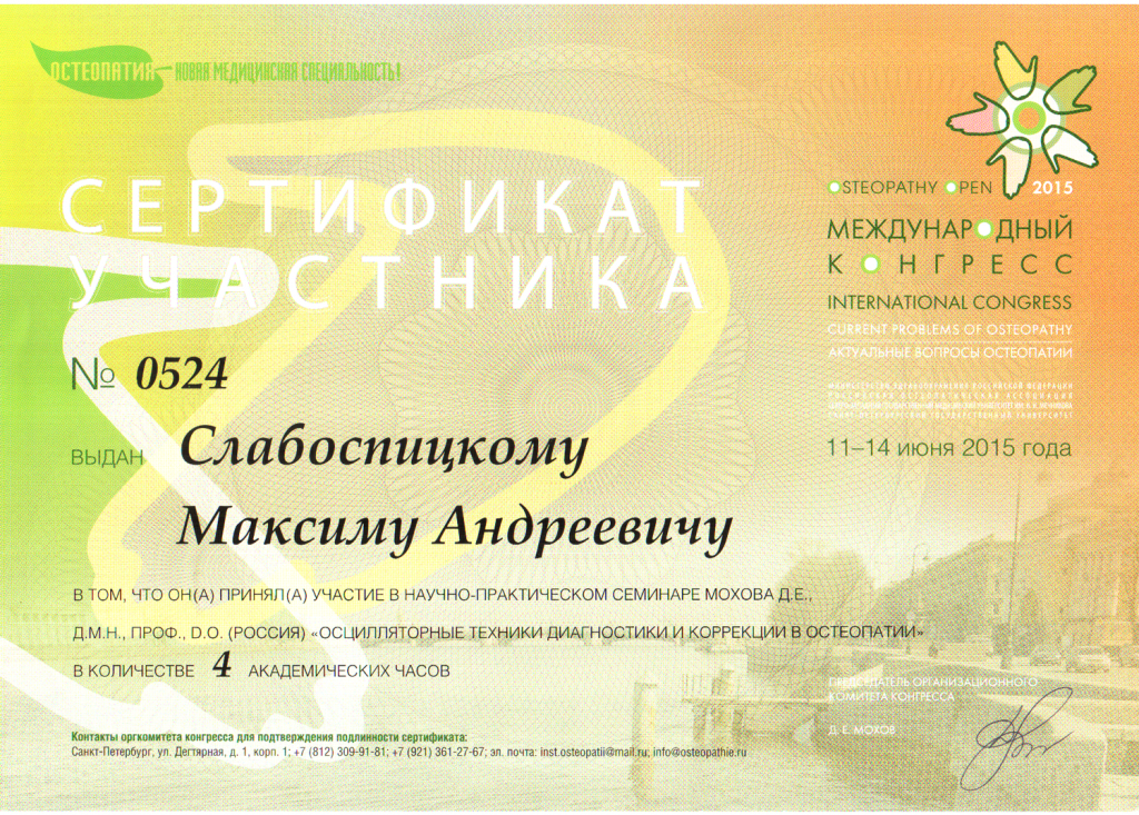 сертификат семинара Мохова Д.Е.