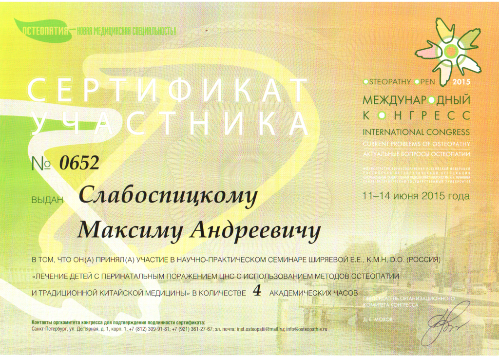 сертификат семинара Шириаевой Е.Е.